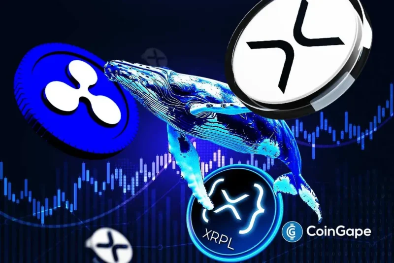 XRP Whales Turn More Bullish as Ripple Execs Head to Major XRPL Japan Event