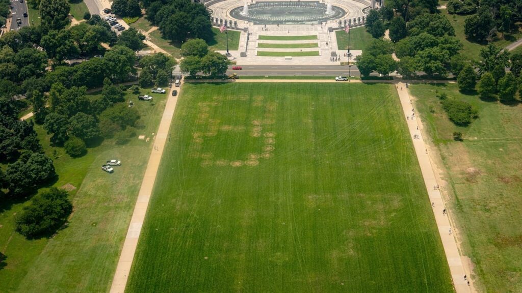 8647-national-mall-fox-news.jpeg