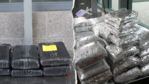pictures-of-drugs-recovered-in-cars-cbp.jpeg