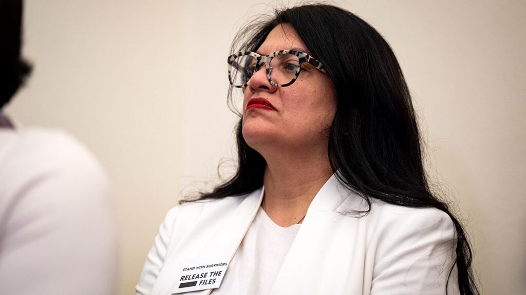 rashida-tlaib_before-sotu_with-epstein-files-pin.jpg