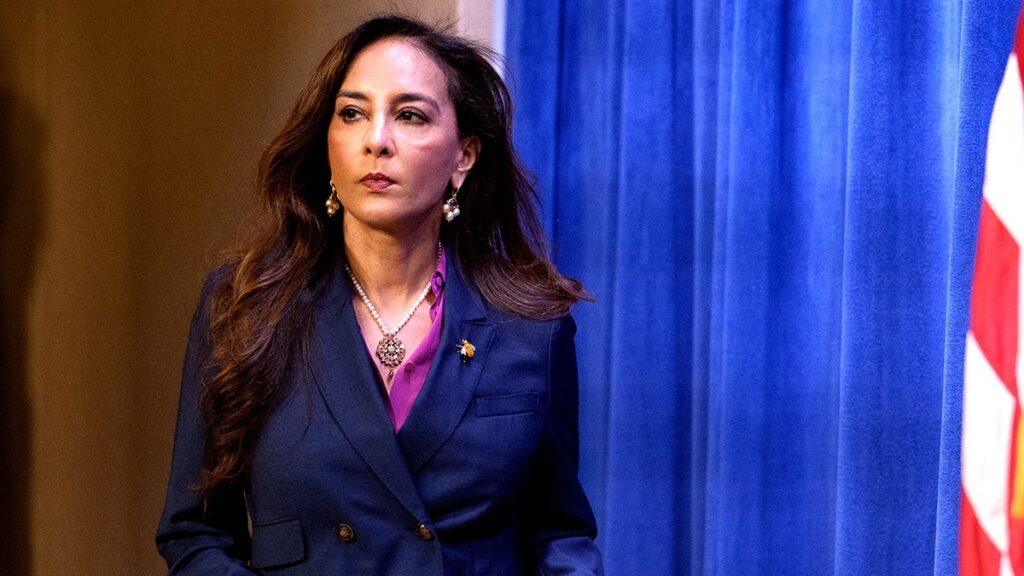 harmeet-dhillon-gun-rights.jpg