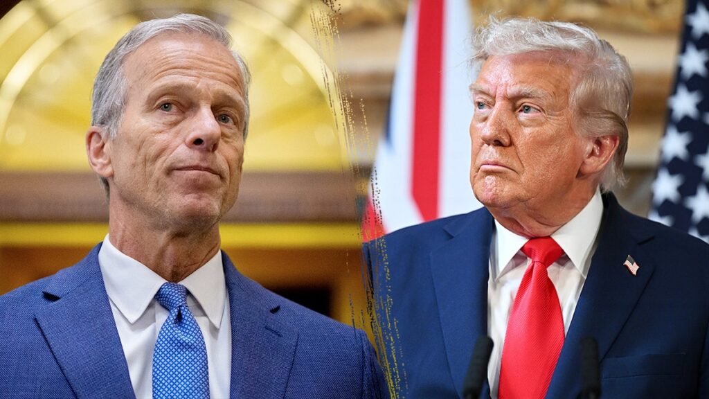 john-thune-donald-trump-senate-1.jpg-1