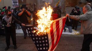 demonstrators-burn-flag-ice-detention-center.jpgve1tl1