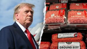 trump-ground-beef.jpgve1tl1