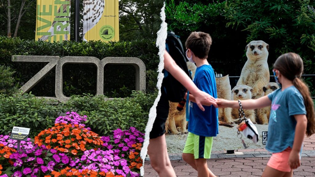 zoo-kids.jpgve1tl1