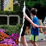 Gender equity, DEI, climate action: How the Smithsonian’s woke push ‘infiltrated’ America’s most beloved zoo