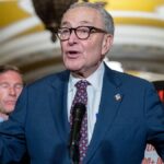 Dems kill Republican’s chances of lowering Americans’ electricity bills in key election flashpoint