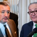 Ted Cruz names ‘most powerful Democrat’ as he warns socialist rise has paralyzed bipartisanship